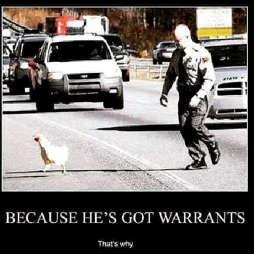 chicken has warrants.jpg